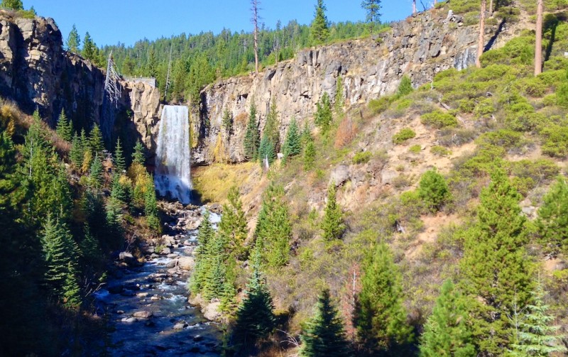 View of the falls from the base area